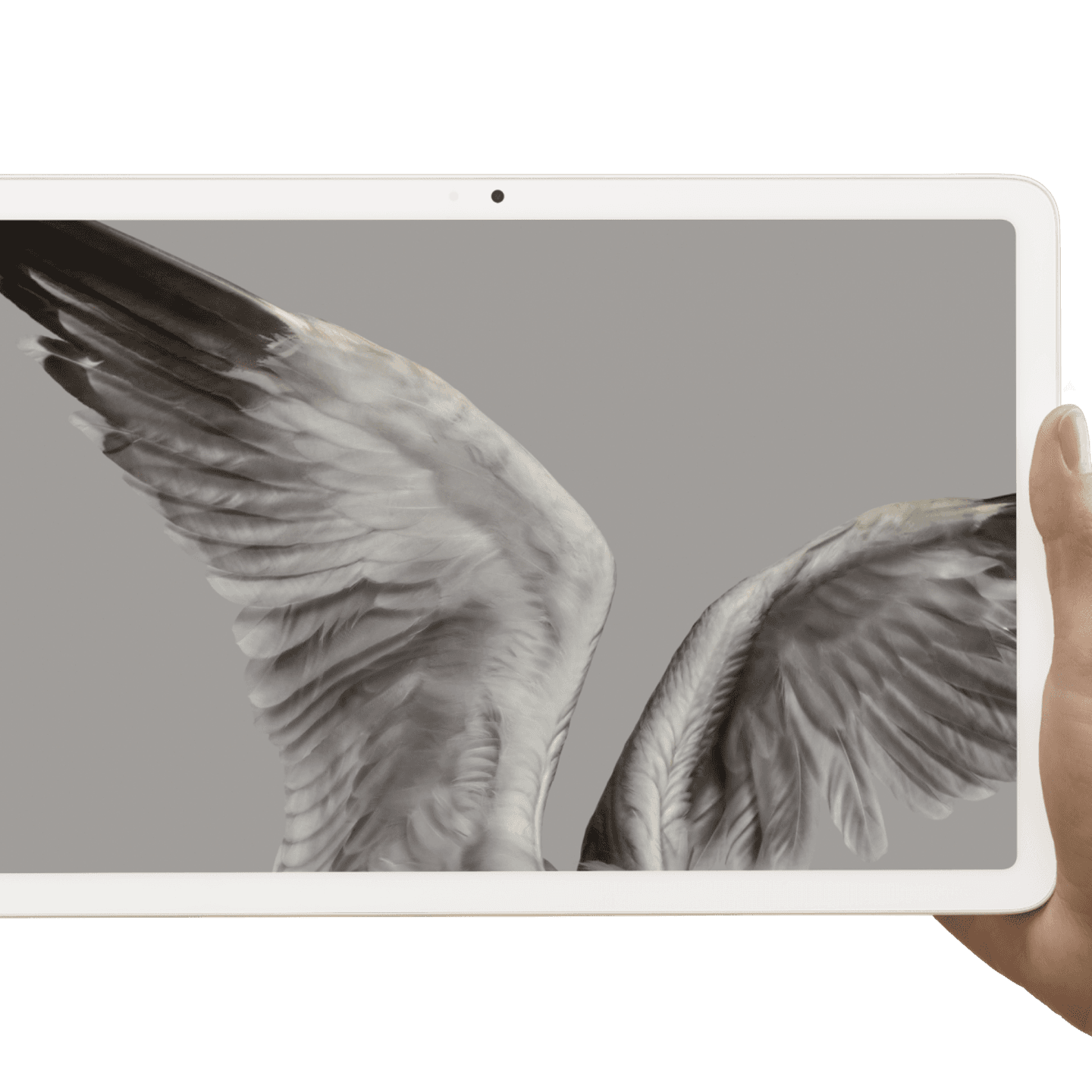 Pixel Tablet — visuel officiel 1